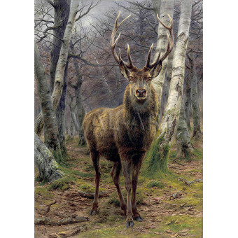 РЕПРОДУКЦИИ НА КАРТИНИ Кралят на гората (1878)